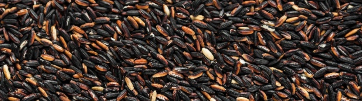 Black Rice